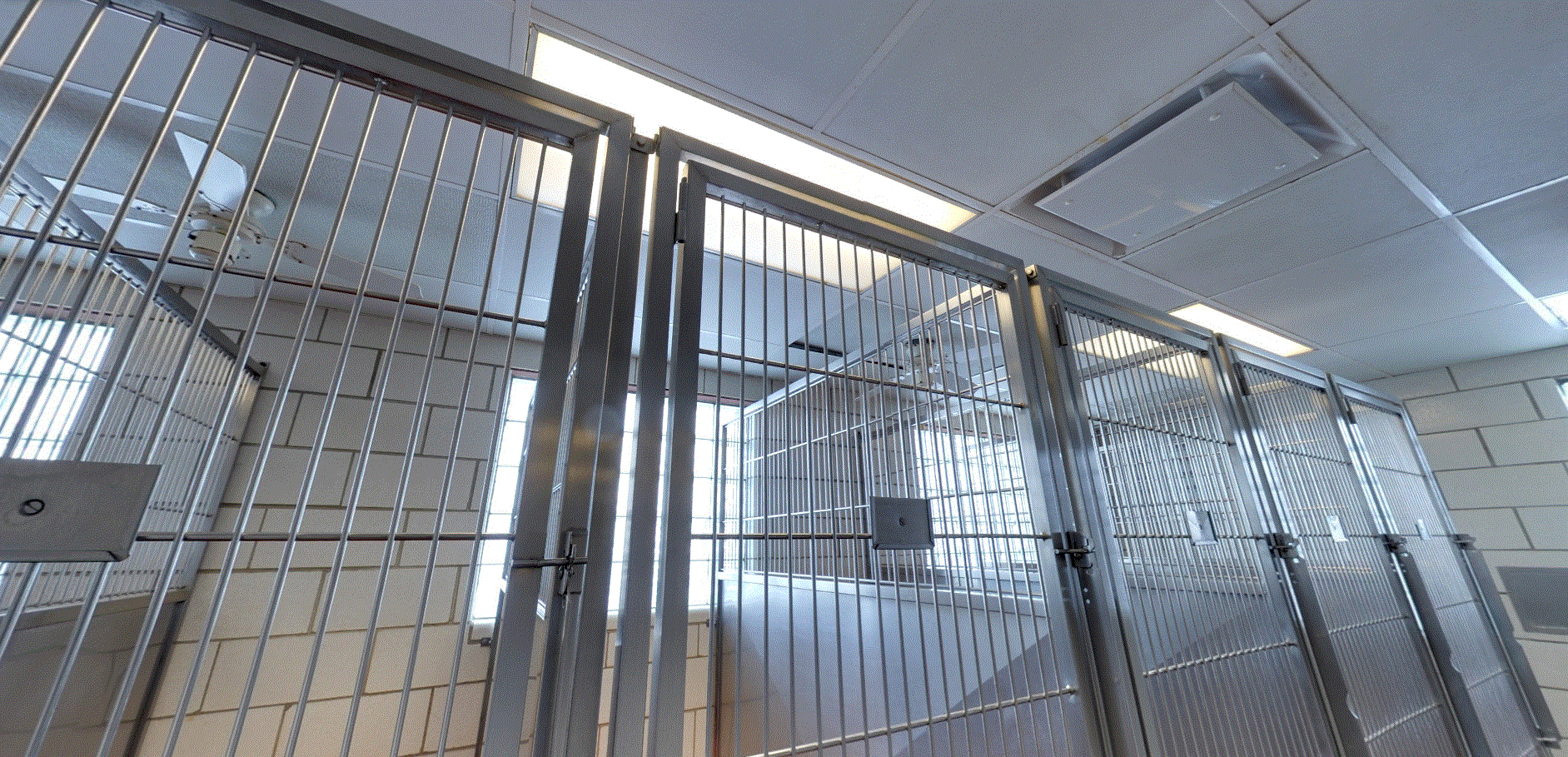 Peotone Animal Hospital - Large Kennel area