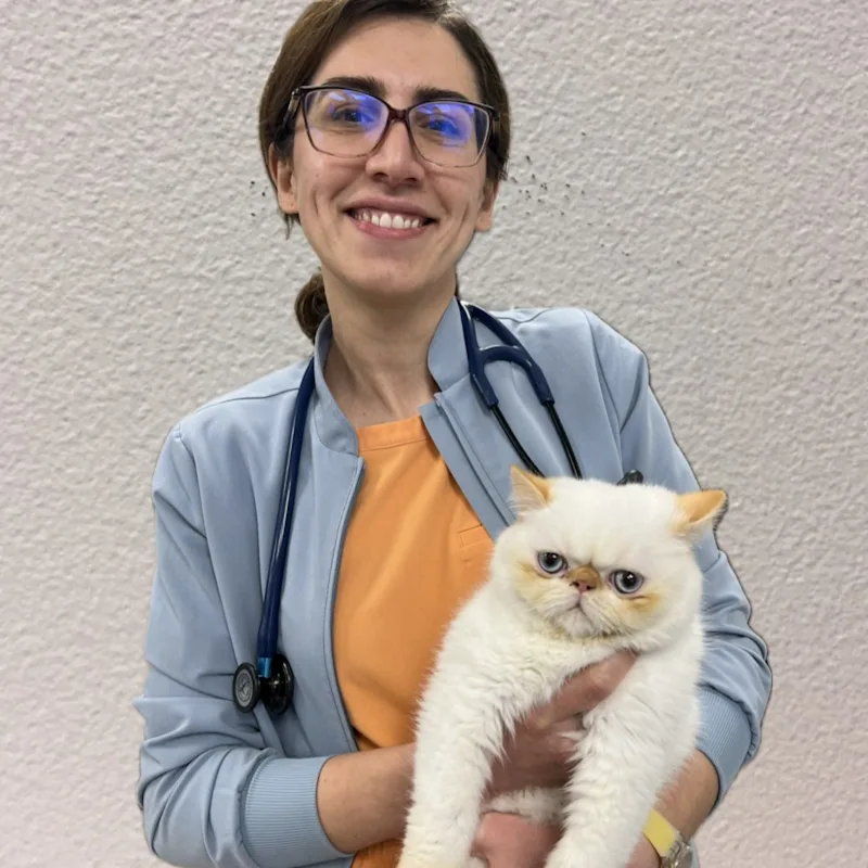 Dr. Pegah Abbasnia Dr. Pegah Abbasnia