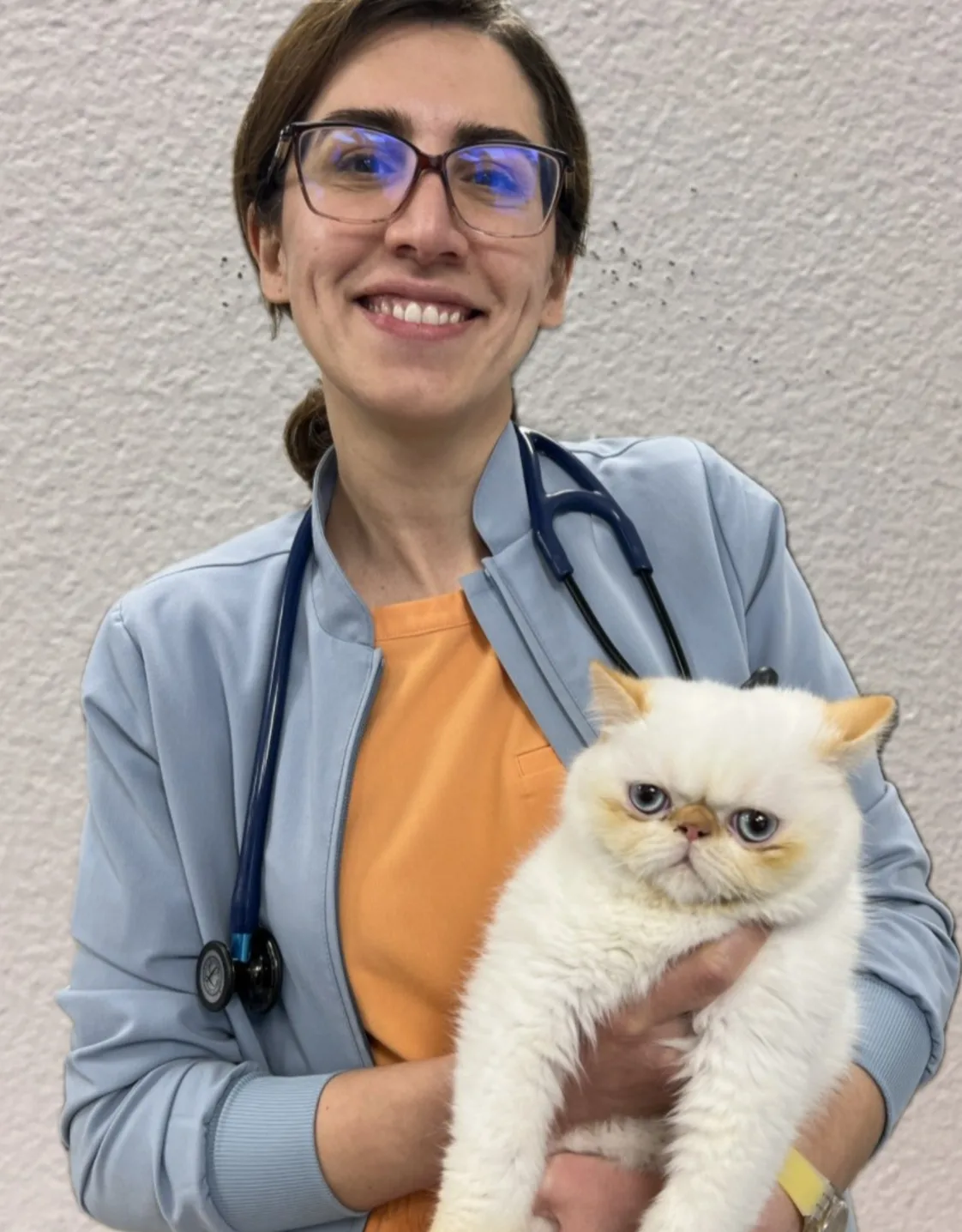 Dr. Pegah Abbasnia Dr. Pegah Abbasnia