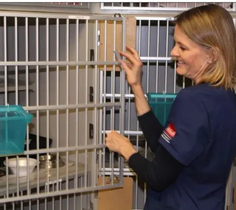 Woman showing some love to Cats