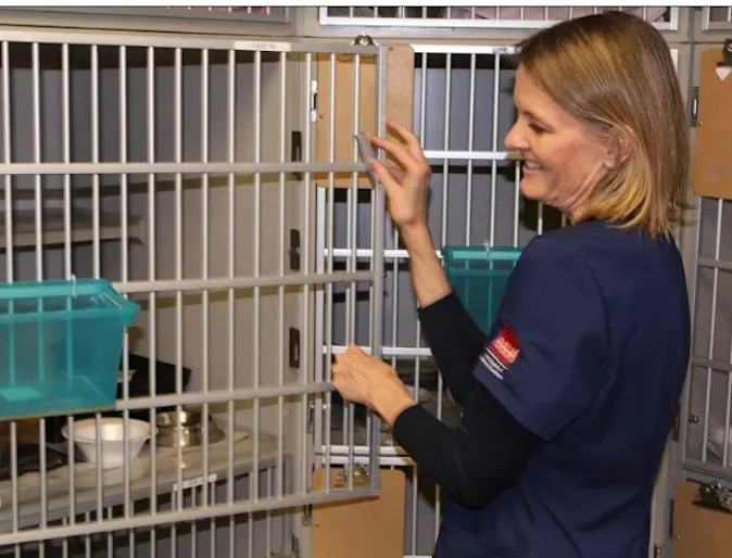 Woman showing some love to Cats