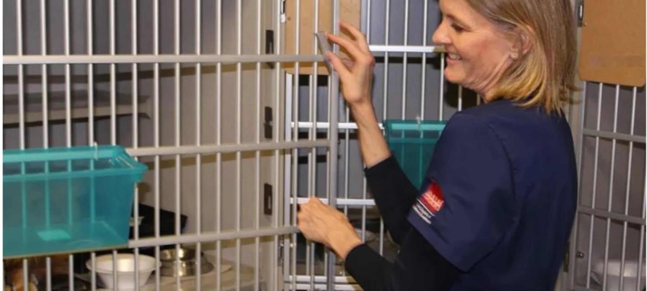 Woman showing some love to Cats Woman showing some love to Cats