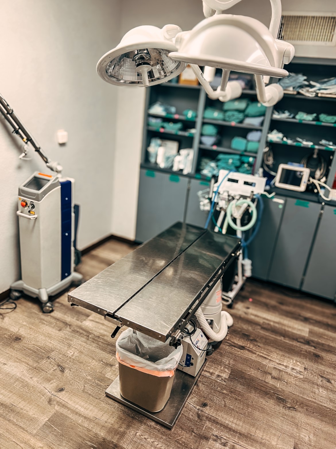 American Pet Hospital's Surgery Area