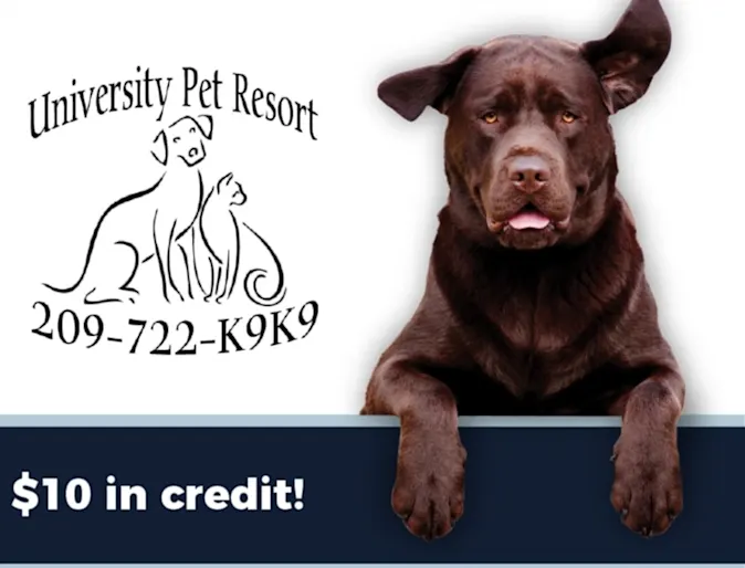 University Pet Resort logo with dog and a $10 in credit