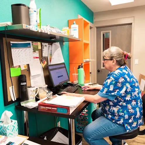Veterinary staff on computer in the lab at The Valley Veterinary Hospital Veterinary staff on computer in the lab at The Valley Veterinary Hospital