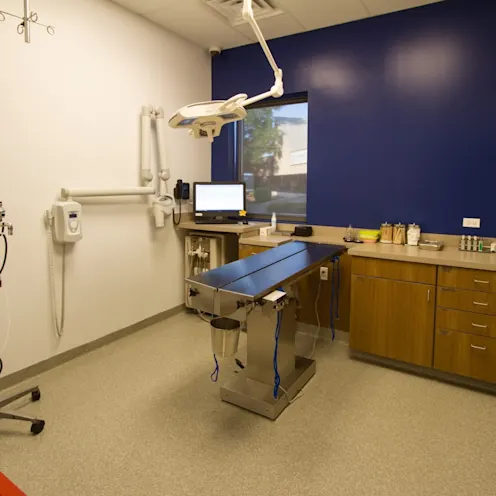 exam room with overhead equipment exam room with overhead equipment