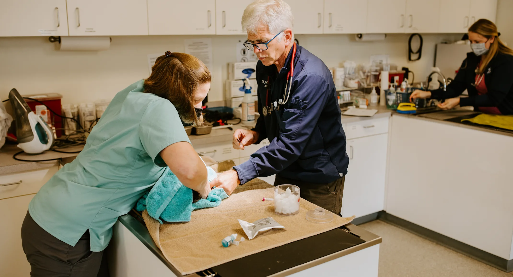 Veterinarian and technician in clinic. Veterinarian and technician in clinic.