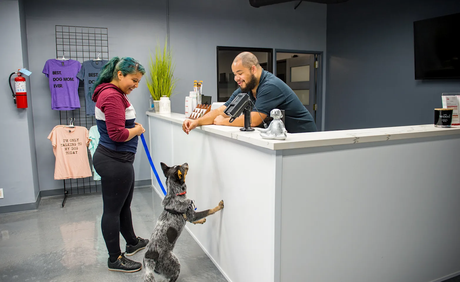 A dog being checked in to a boarding facility.