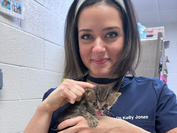 Dr. Jones holding a small kitten at Pender Veterinary Centre