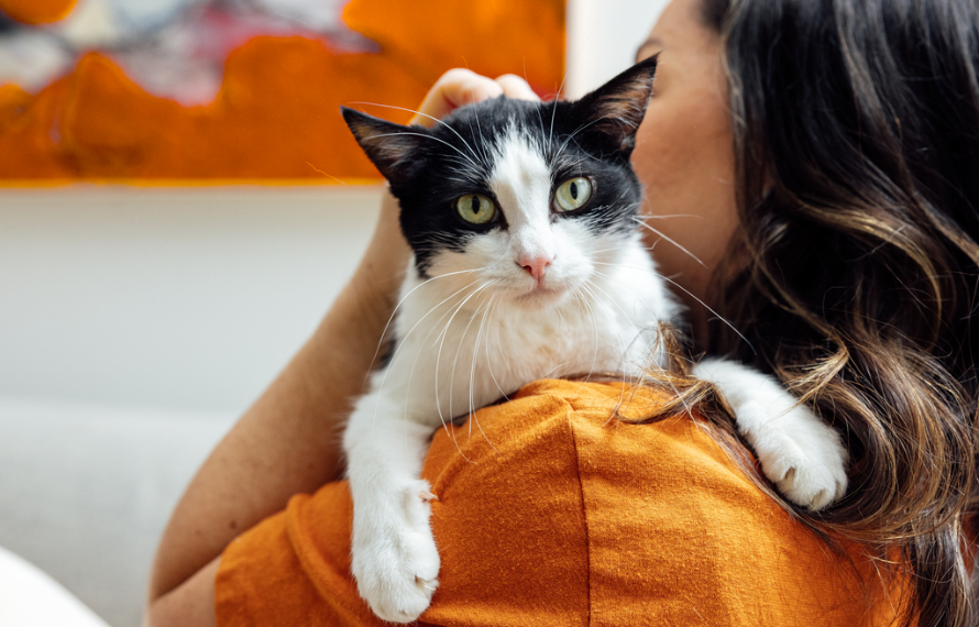 Woman Hugging B&W Cat Looking at Camera