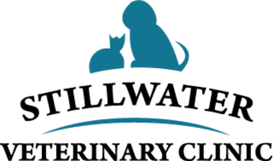 Stillwater Veterinary Clinic-HeaderLogo