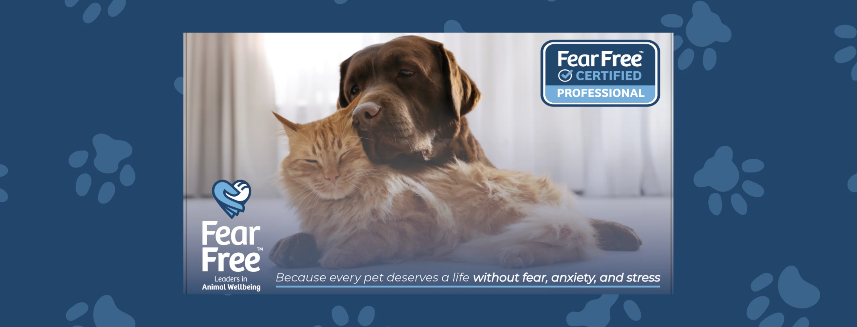 Fear Free Fear Free