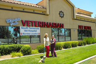 Live oaks hot sale animal hospital