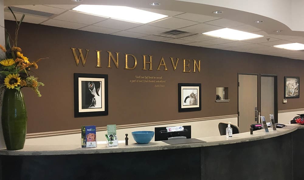 Windhaven Veterinary Hospital front reception counter