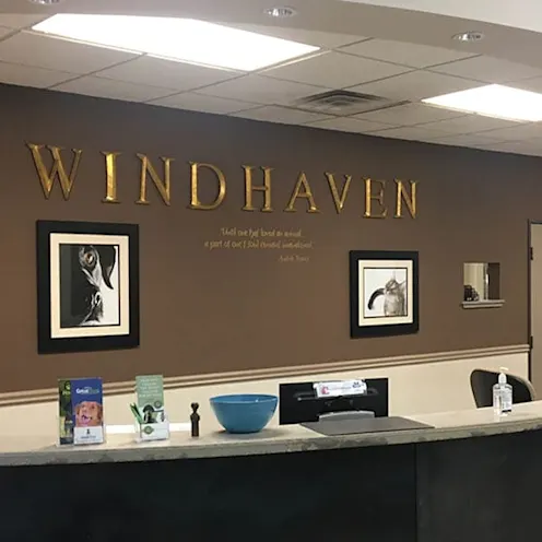 Windhaven Veterinary Hospital front reception counter Windhaven Veterinary Hospital front reception counter