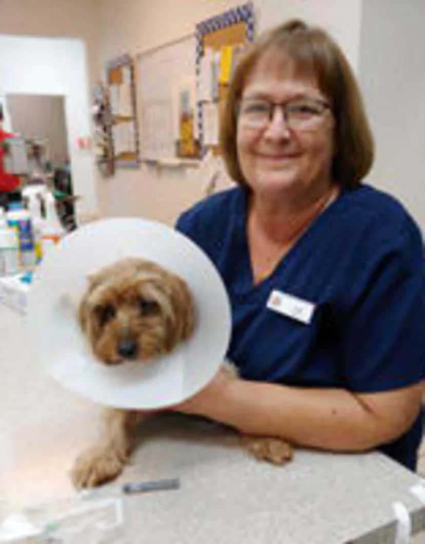 Lori with small dog wearing a cone around its head