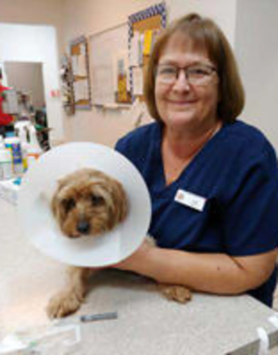 Lori with small dog wearing a cone around its head Lori with small dog wearing a cone around its head