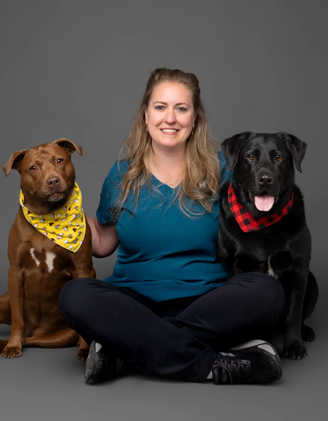 Pencil outline drawing of puppy Pencil outline drawing of puppy