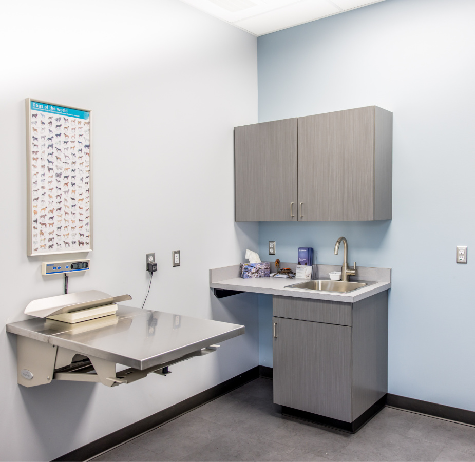 Room where patients can be seen