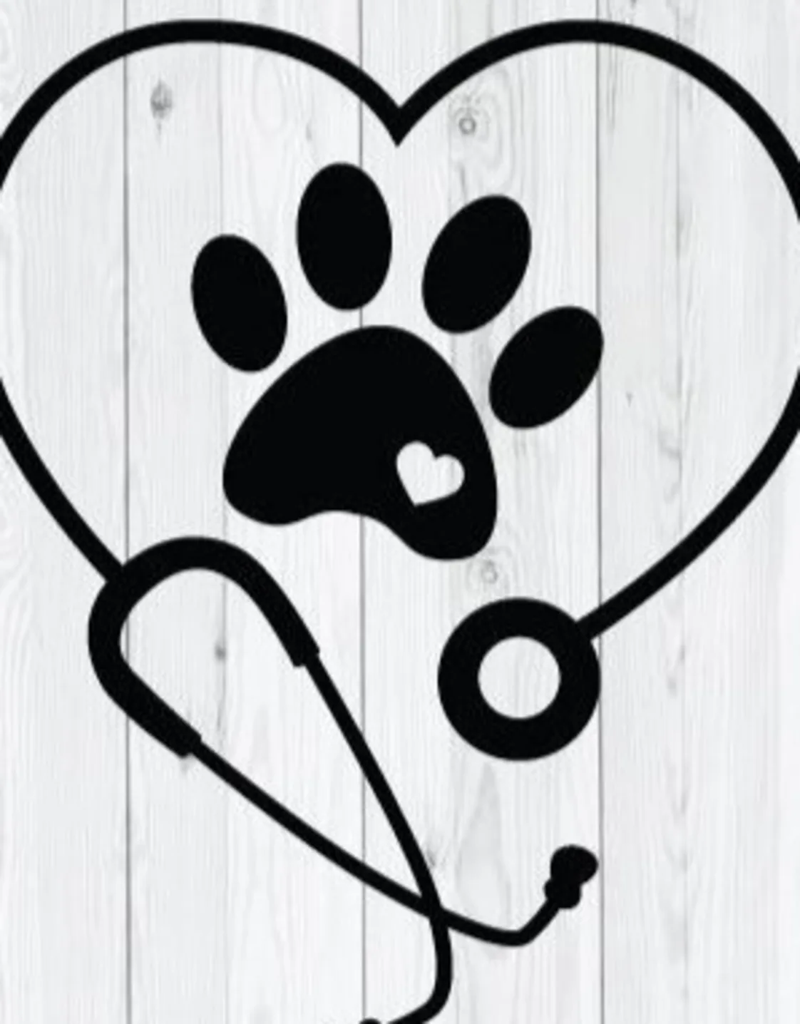 Seven Bends Veterinary Hospital Heather, Mackenzie, Ashton, and Josh Seven Bends Veterinary Hospital Heather, Mackenzie, Ashton, and Josh