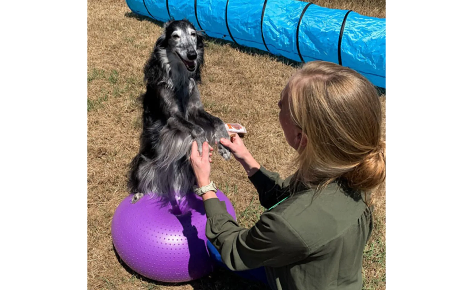 Dr. Dudley Playing with a Black Dog Outside Dr. Dudley Playing with a Black Dog Outside