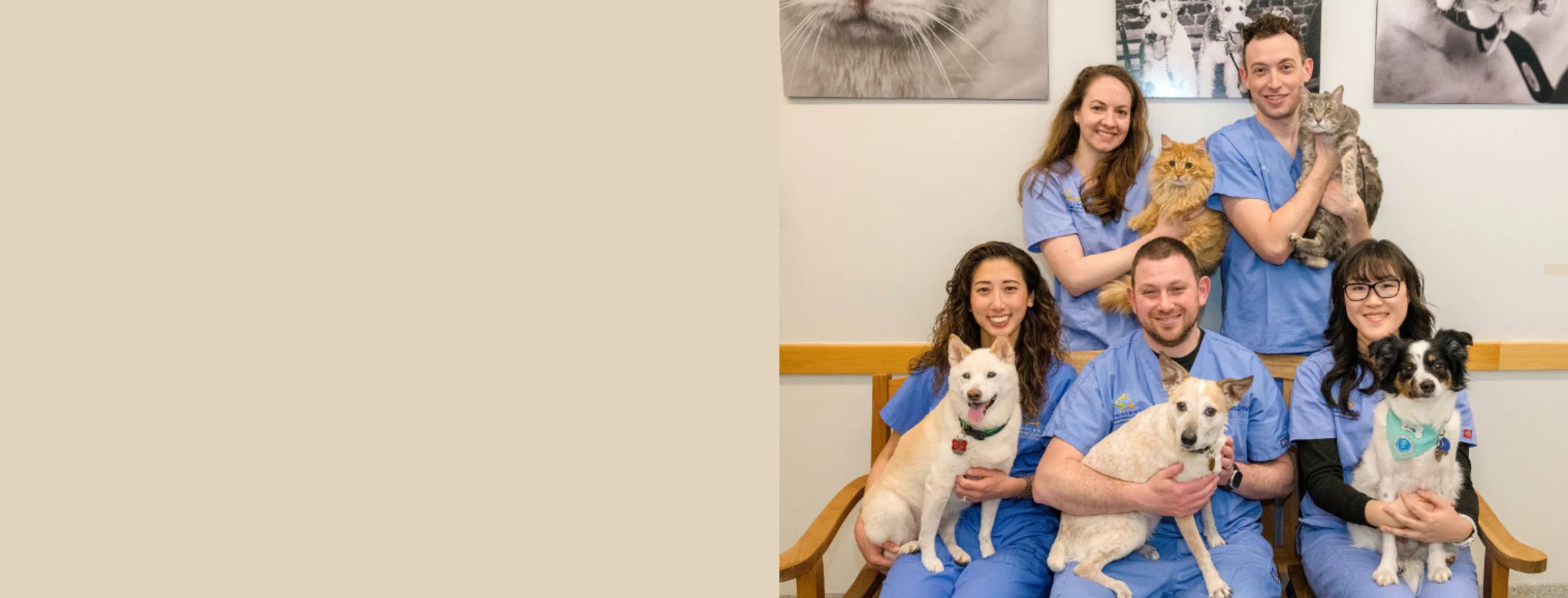 West Village Veterinary Hospital Staff West Village Veterinary Hospital Staff