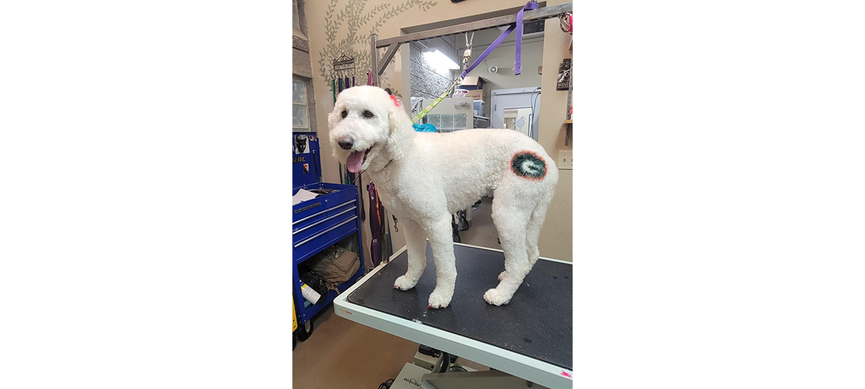 White dog with Green Bay Packers logo near their tail