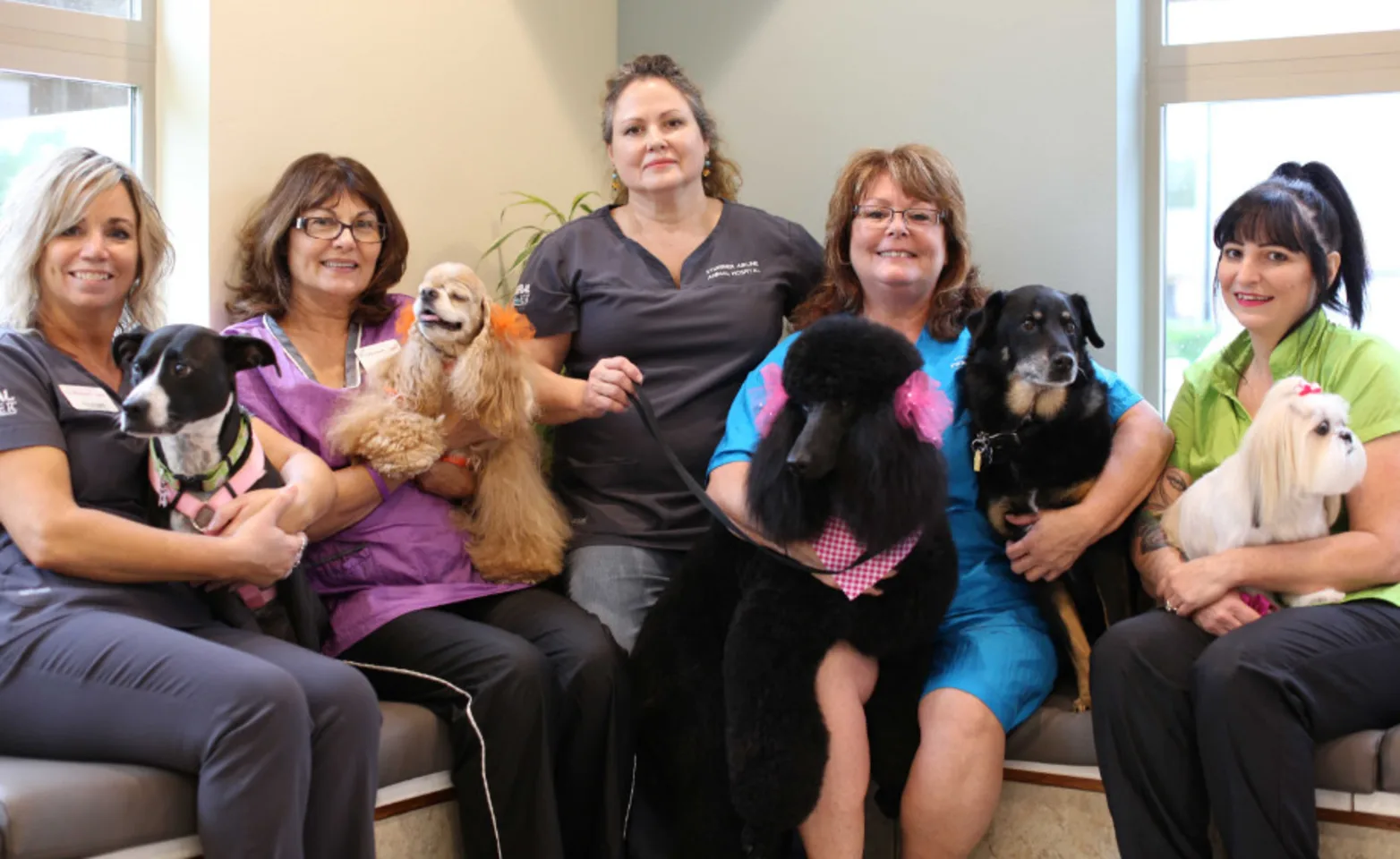 Stuebner Airline Veterinary Hospital - Pet Resort & Spa Staff Stuebner Airline Veterinary Hospital - Pet Resort & Spa Staff
