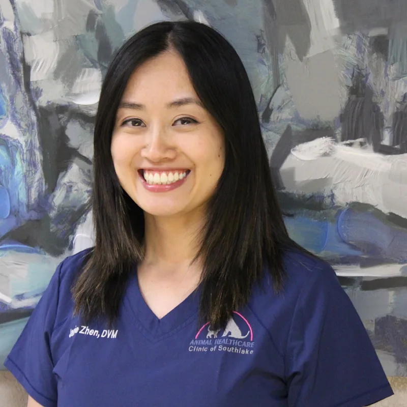 Portrait of Dr. Jamie Zhen Portrait of Dr. Jamie Zhen