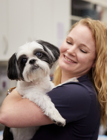 Staff member holding black and white dog