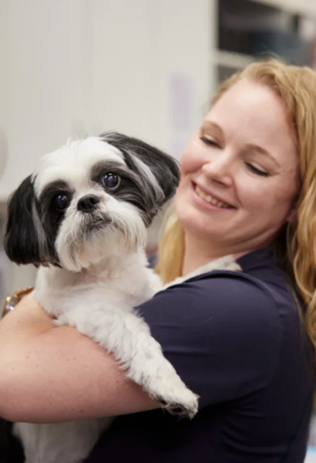 Staff member holding black and white dog Staff member holding black and white dog