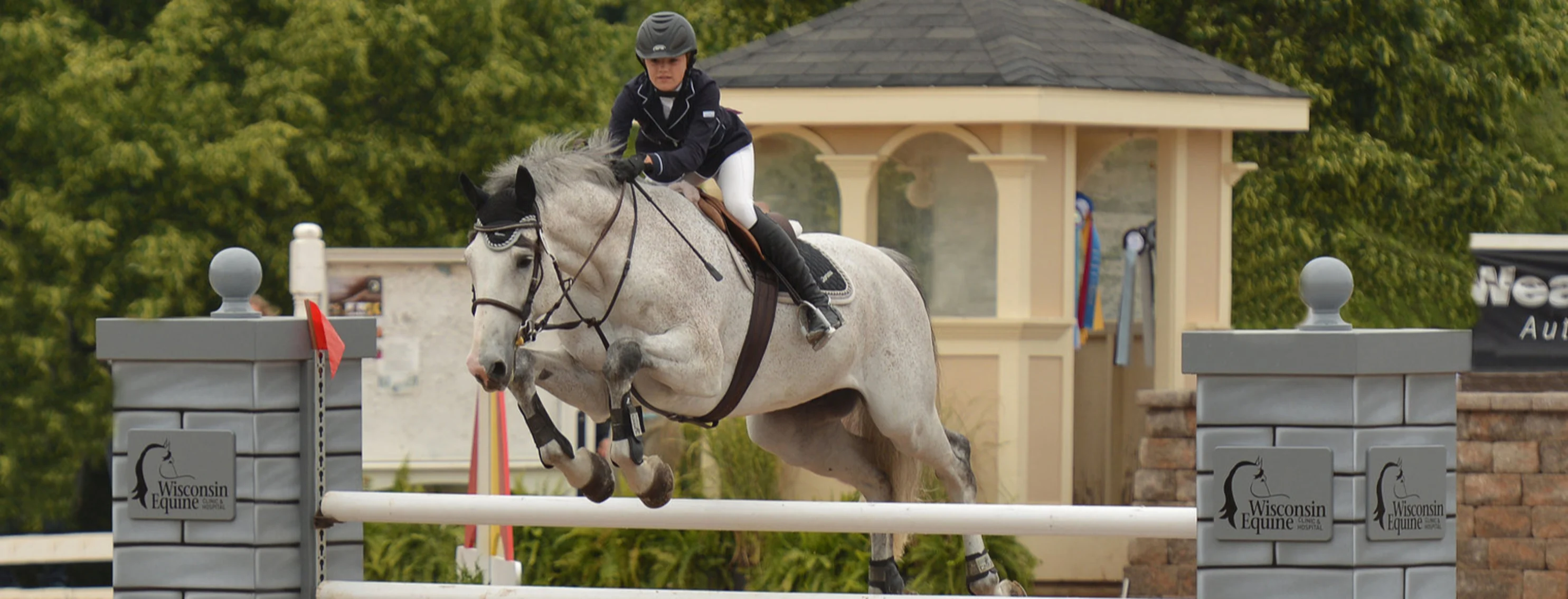 A photo of a horse jumping at a competition