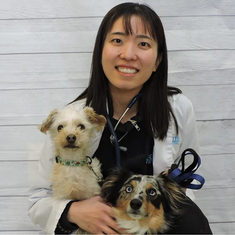 Dr. Nozomi Murota Dr. Nozomi Murota
