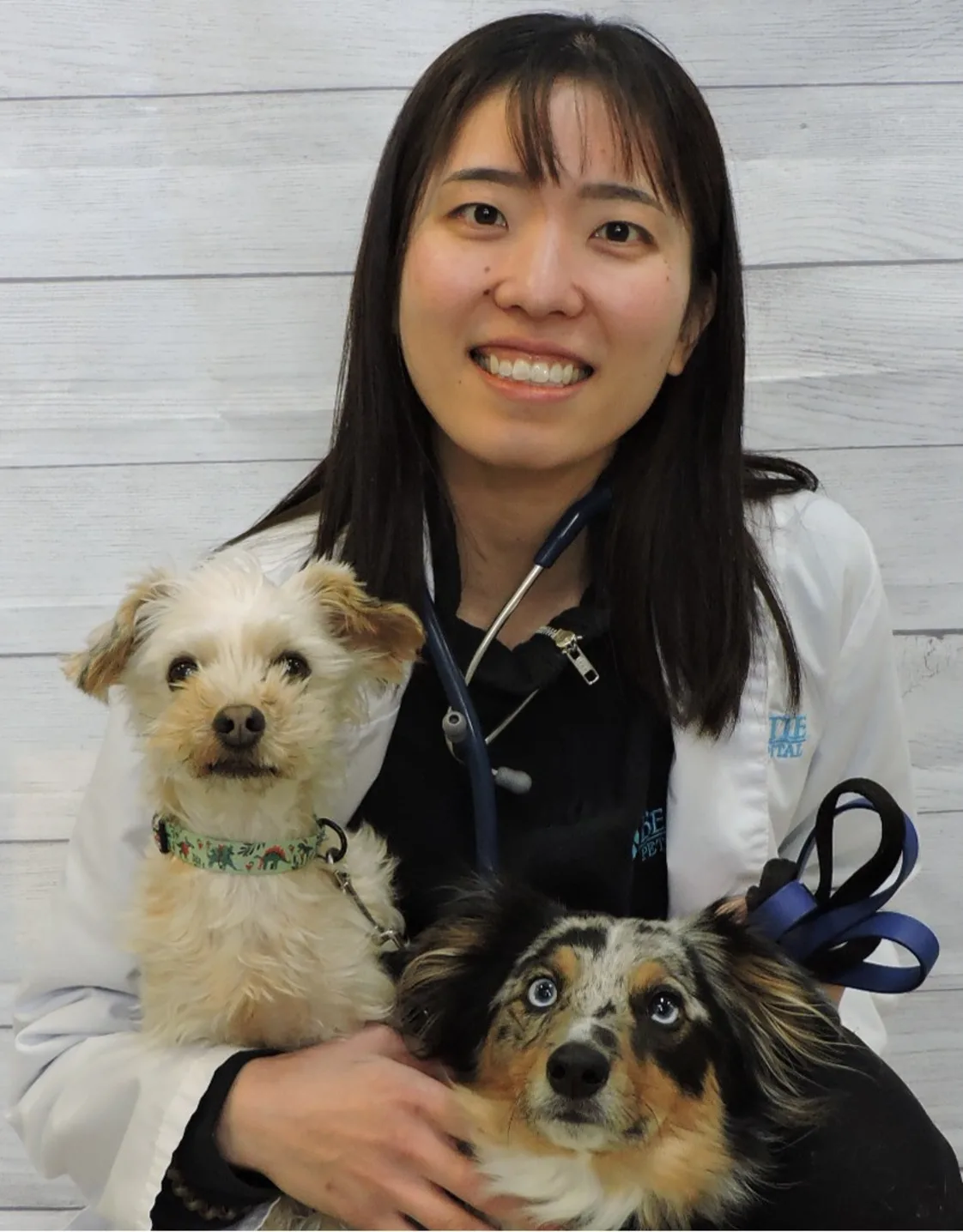 Dr. Nozomi Murota Dr. Nozomi Murota