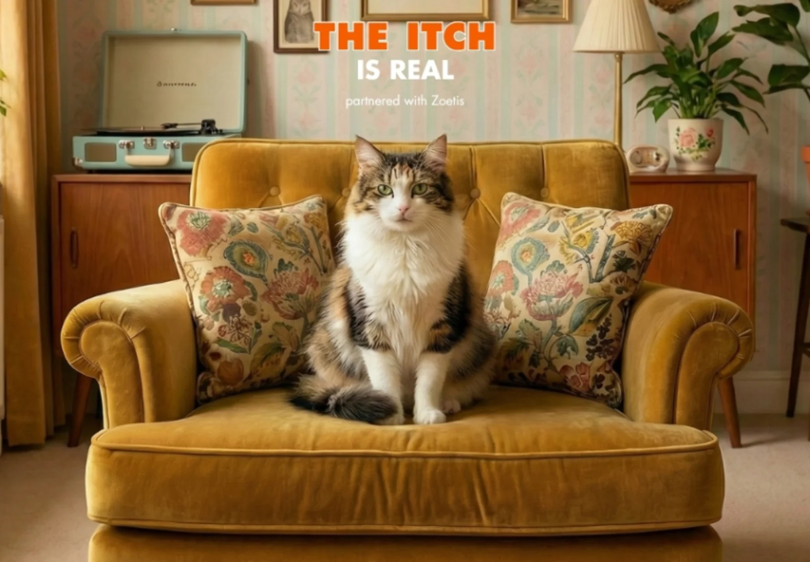 Itchy Pet? Itchy Pet?