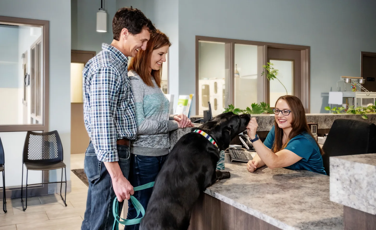 A dog with his paws up on the reception desk  at Above & Beyond Pet Care Hospital