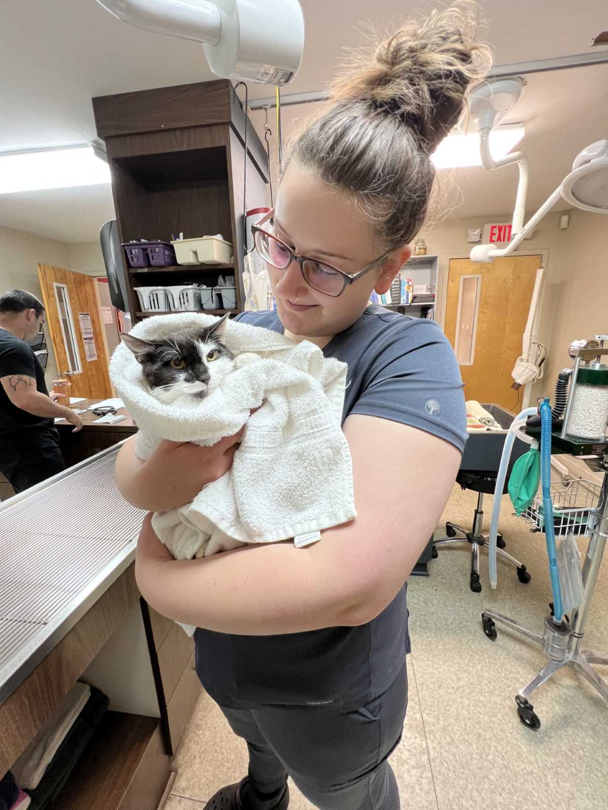 Cat Being Held by Staff Member