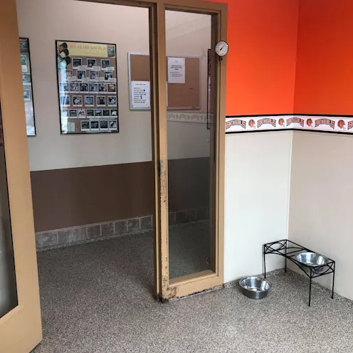 Orange walls, doorway and grainy floor Orange walls, doorway and grainy floor