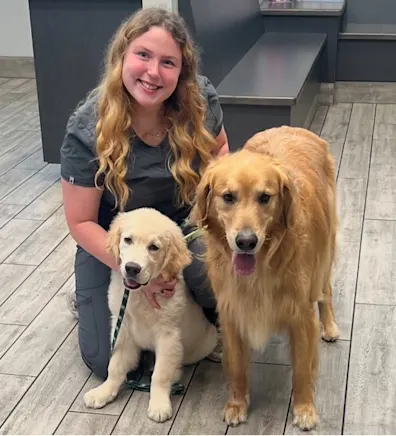 Shelby Springer Shelby Springer