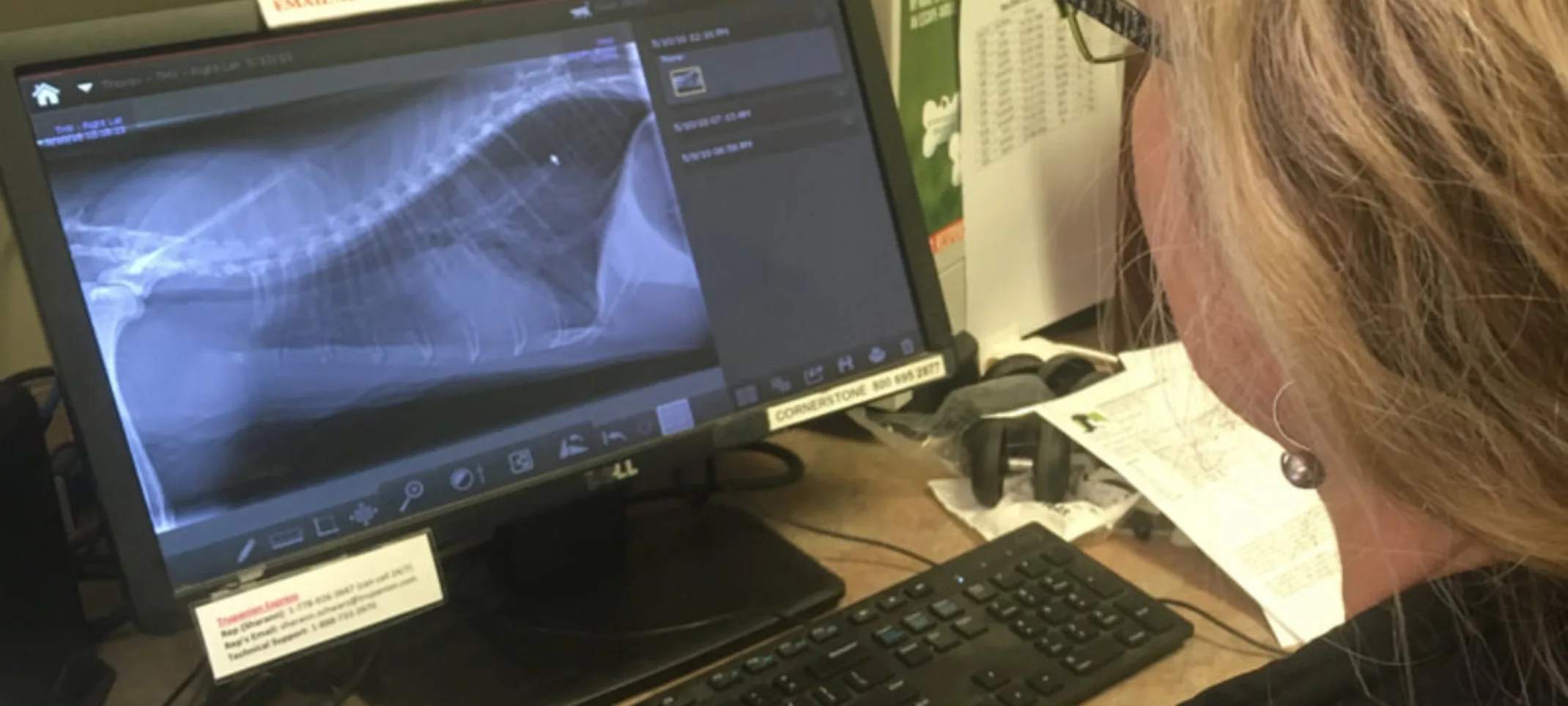 Doctor reviewing digital radiographs of a patient Doctor reviewing digital radiographs of a patient