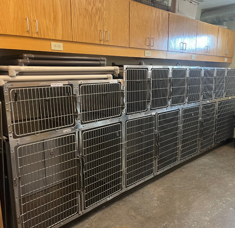 Dog Boarding Kennels 3
