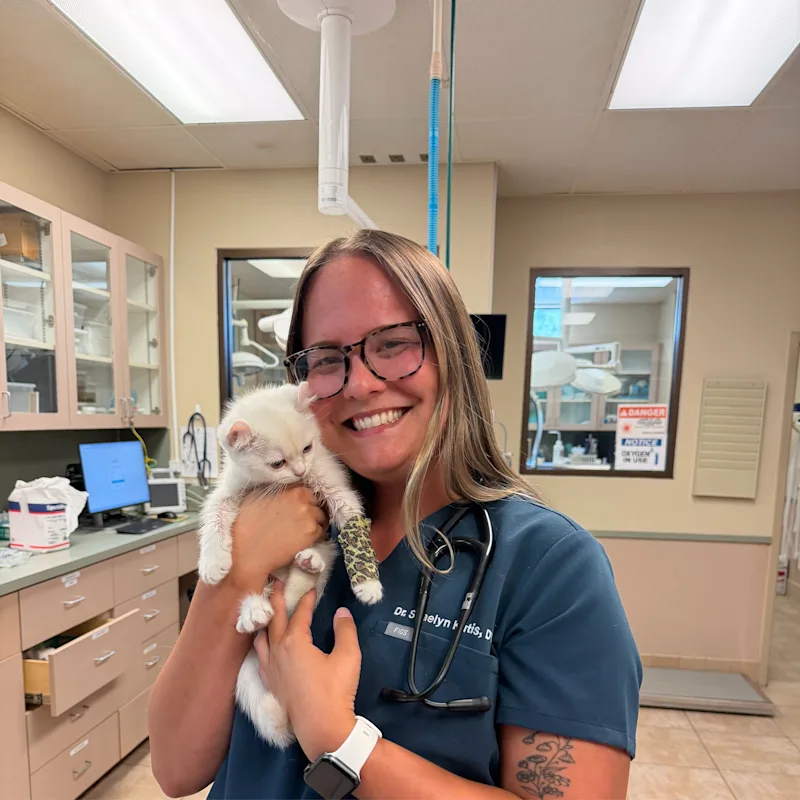 Dr. Shaelyn Kutis Dr. Shaelyn Kutis