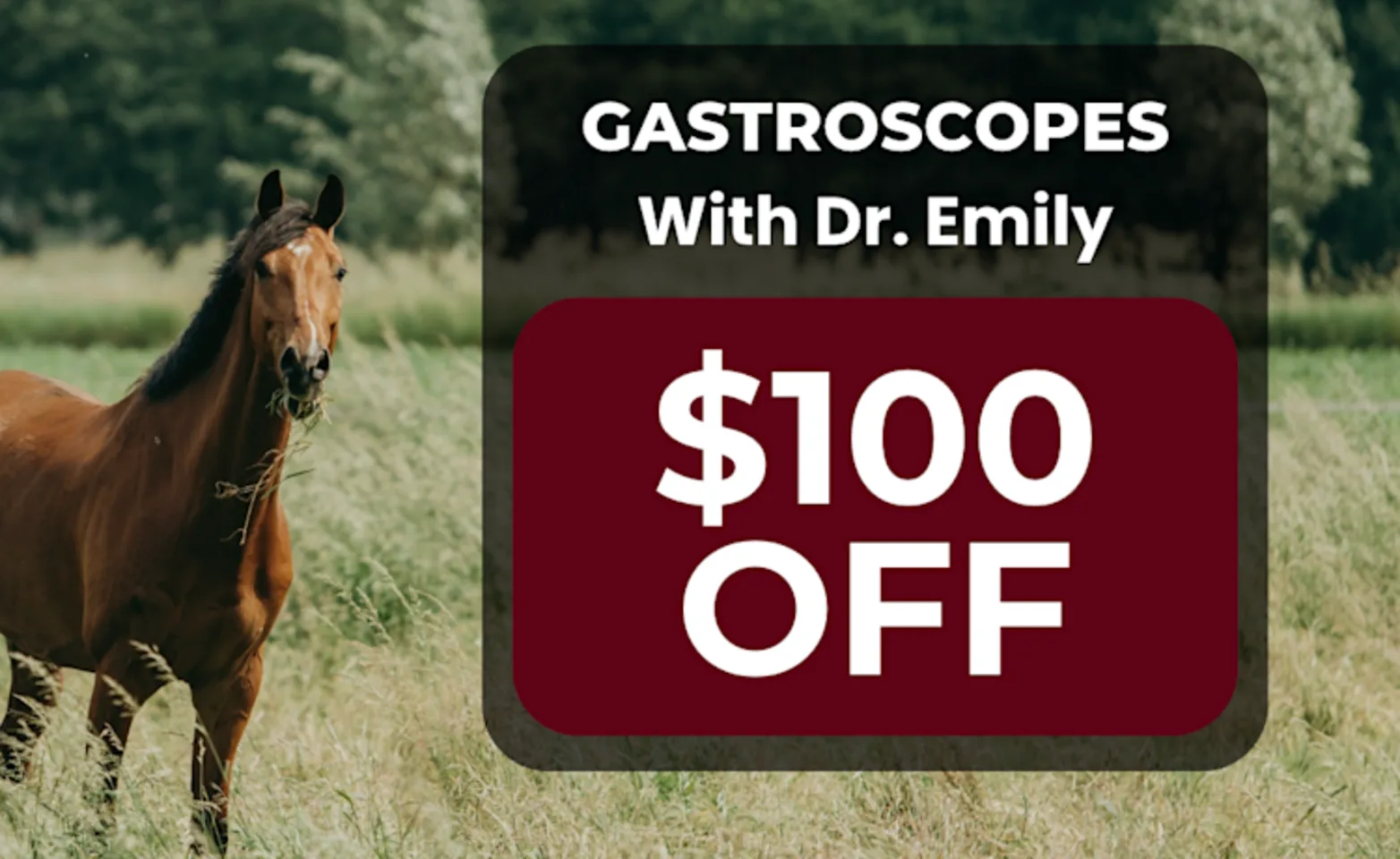 Gastroscopes with Dr. Emily Prugh Gastroscopes with Dr. Emily Prugh