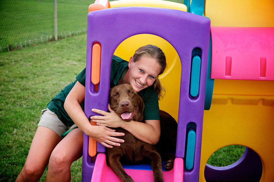Staff with brown lab on slide.