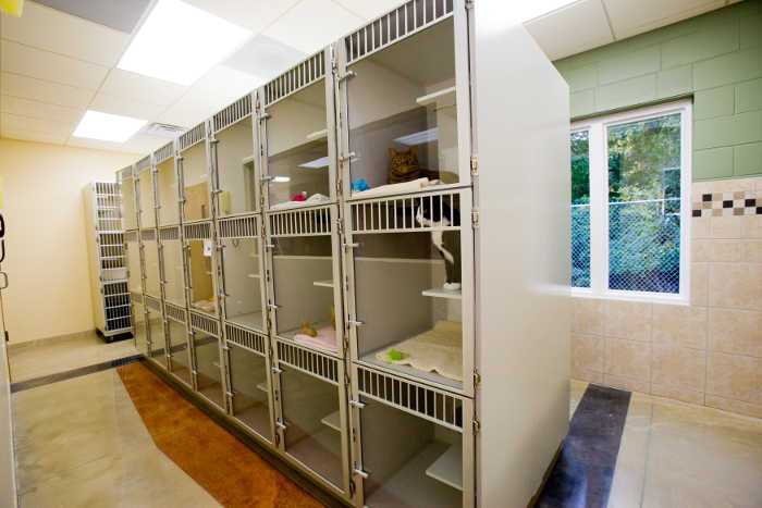 The cat condos for feline guests at Oakhurst Veterinary Hospital
