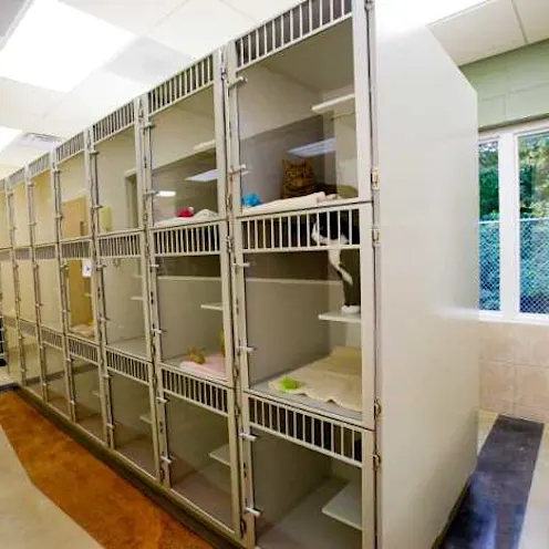 The cat condos for feline guests at Oakhurst Veterinary Hospital The cat condos for feline guests at Oakhurst Veterinary Hospital