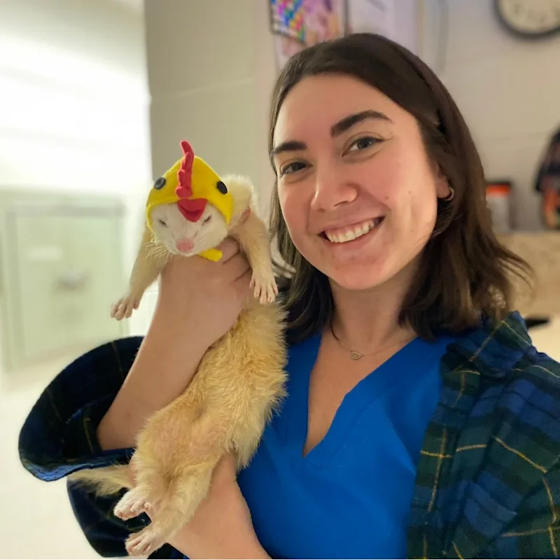 Dr. Rachel Neuses Dr. Rachel Neuses