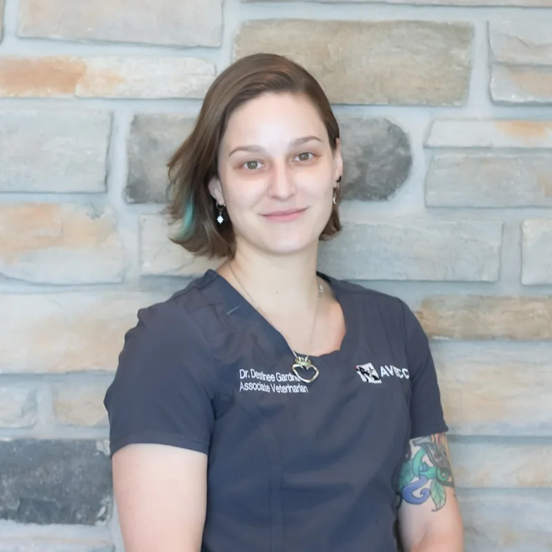 Dr. Destinee Gardiner Dr. Destinee Gardiner
