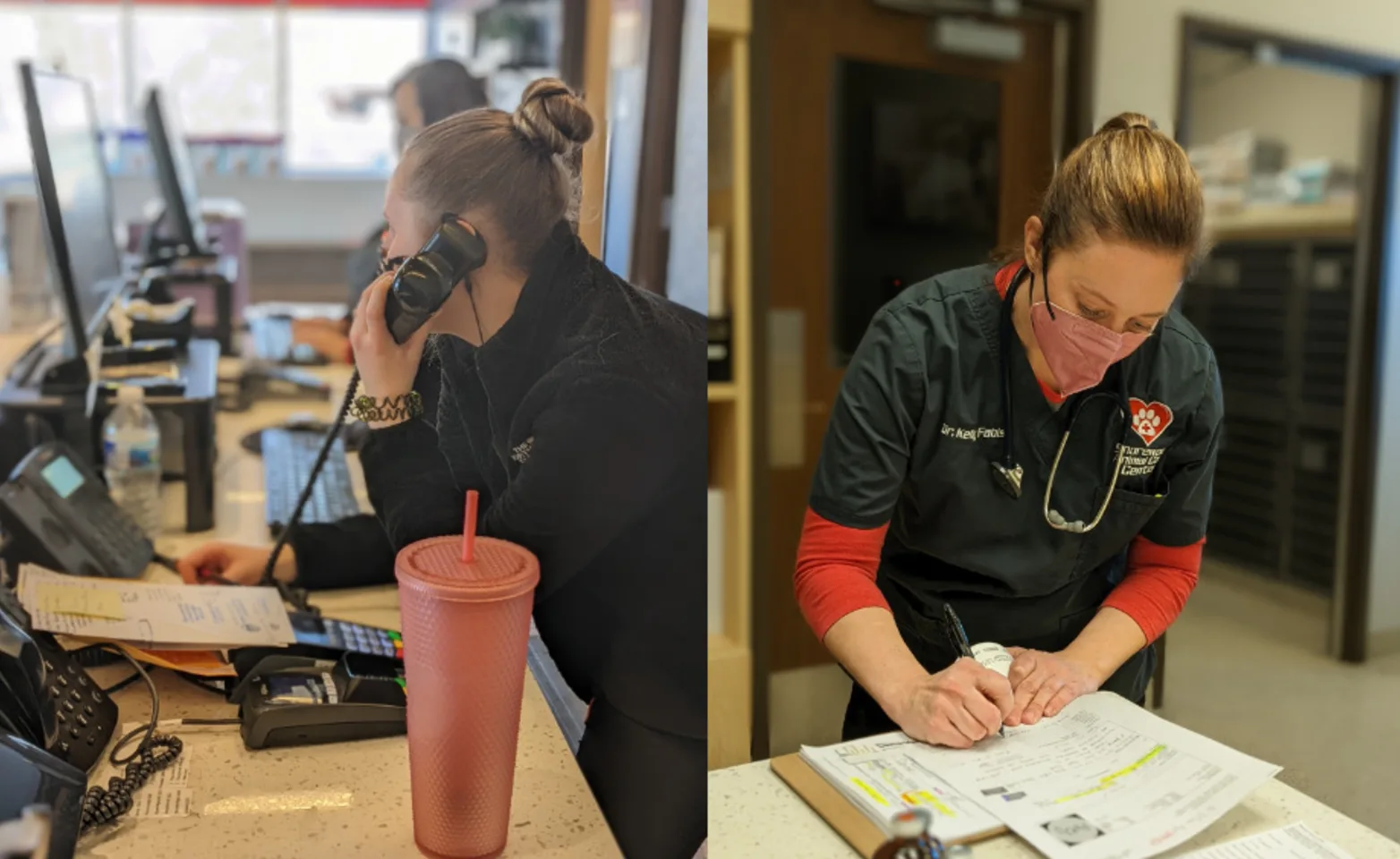 Staff members working at Animal Care Center of Shorewood