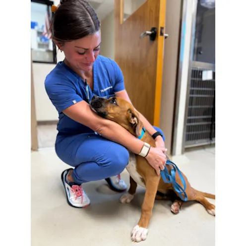 Hugs at Our Clinic Hugs at Our Clinic